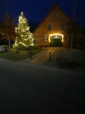 bild-thb-3546-Weihnachtsbaumleuchten vorm Heimathaus