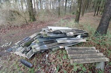 bild-thb-4371-Illegale Müllentsorgung in Uthleder Jagdrevier